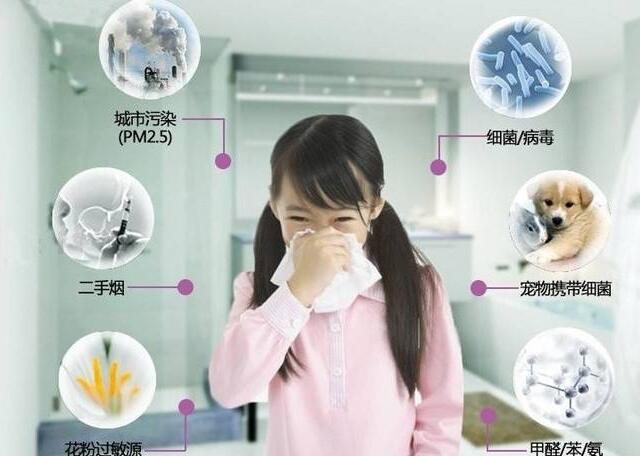 上海環(huán)境檢測咨詢服務(wù)有限公司 24915.jpg